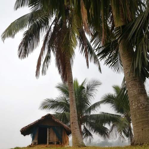 Photo #7141703