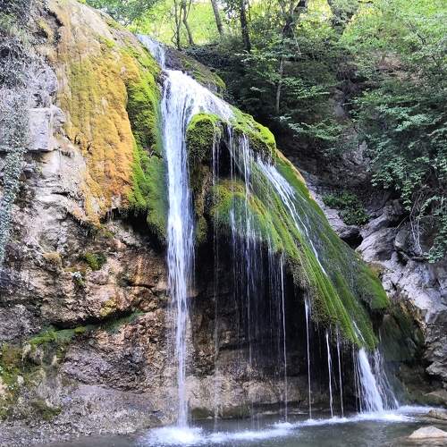 Photo #7141704