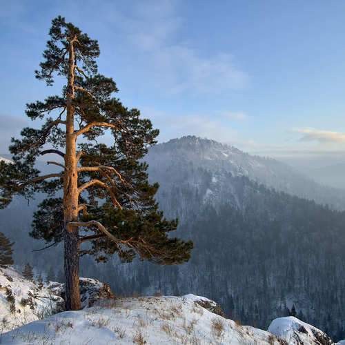 Photo #7141951