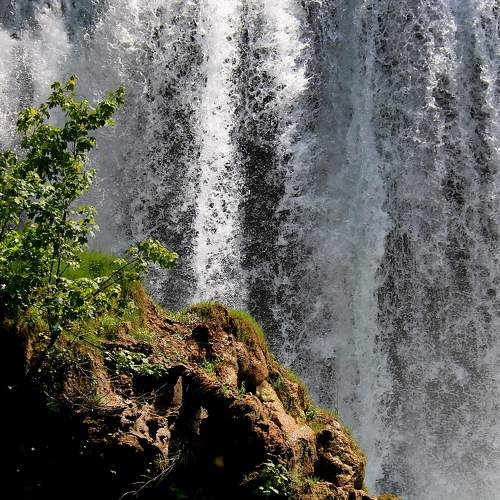 Photo #7142061