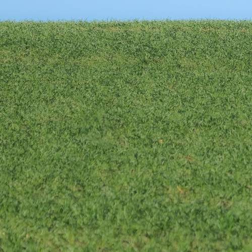 Photo #7142586