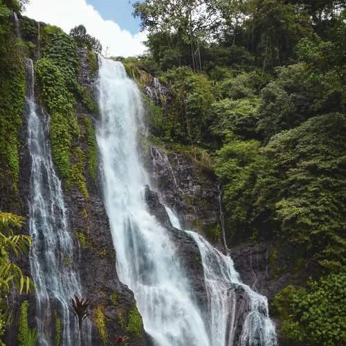 Photo #7142797