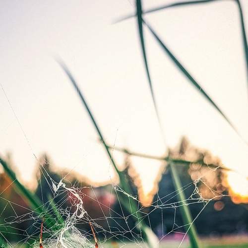 Photo #7142924