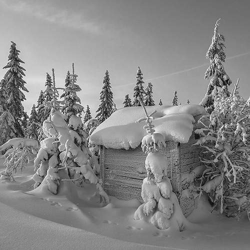 Зимним днем.