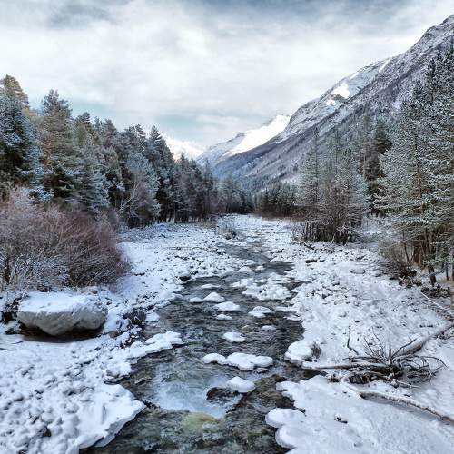 Photo #7143067