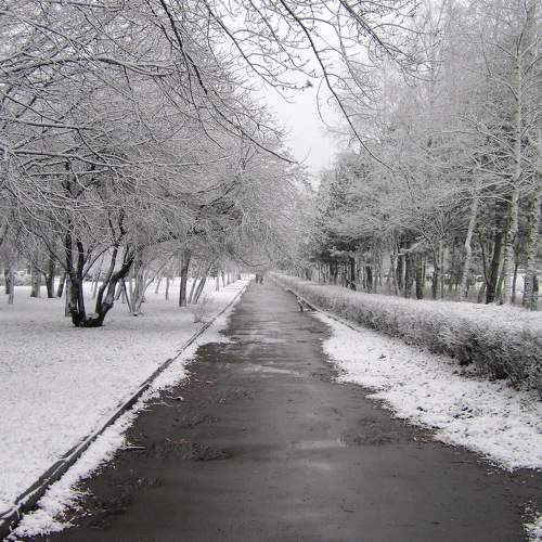 Photo #7143087