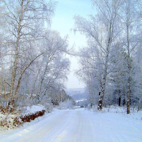 Photo #7143168