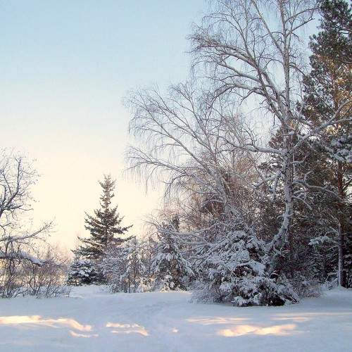 Photo #7143210