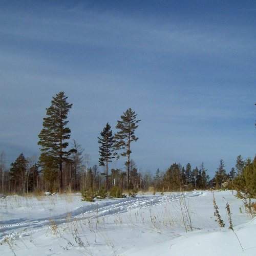Photo #7143217