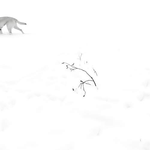 Photo #7143221