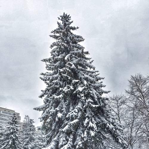 Photo #7143528