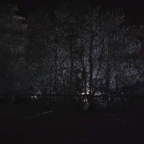 Photo #7143724