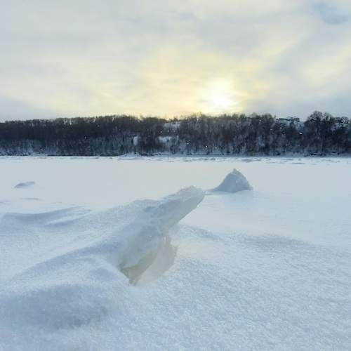 Photo #7143775