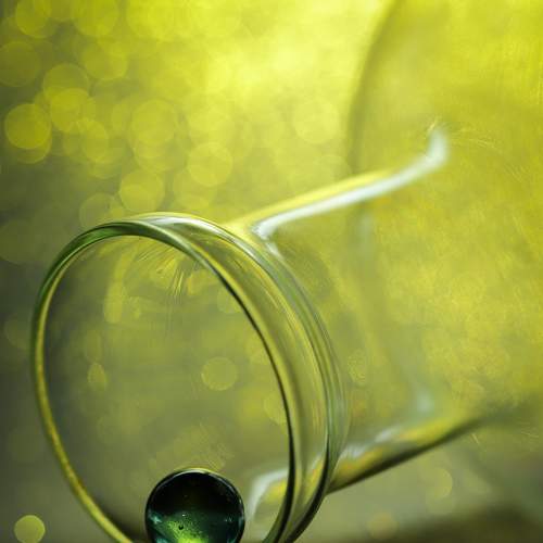 Photo #7143948