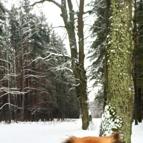 Photo #7144017