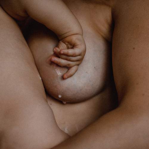 Photo #7144380