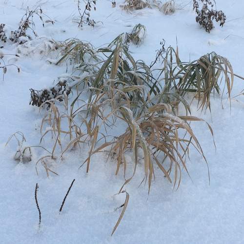 Photo #7144689