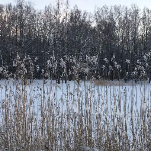 Photo #7144690