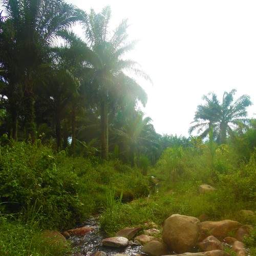 Photo #7145069