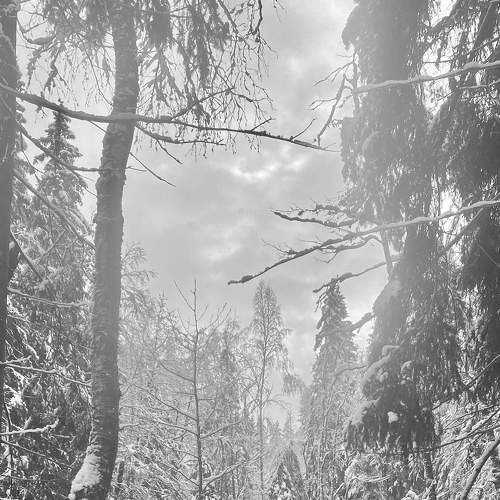 Photo #7145080