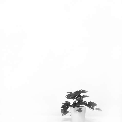 Photo #7145082