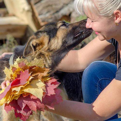 Photo #7145175