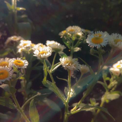 Photo #7145548