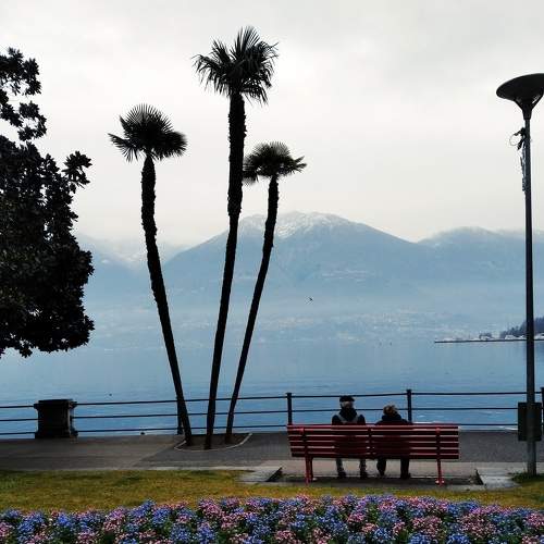 Photo #7145690