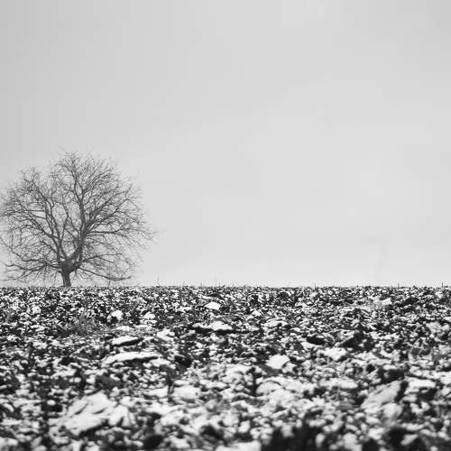Black and white time