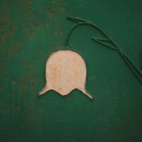 Photo #7145906