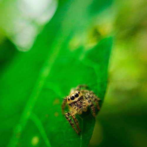 Photo #7145939