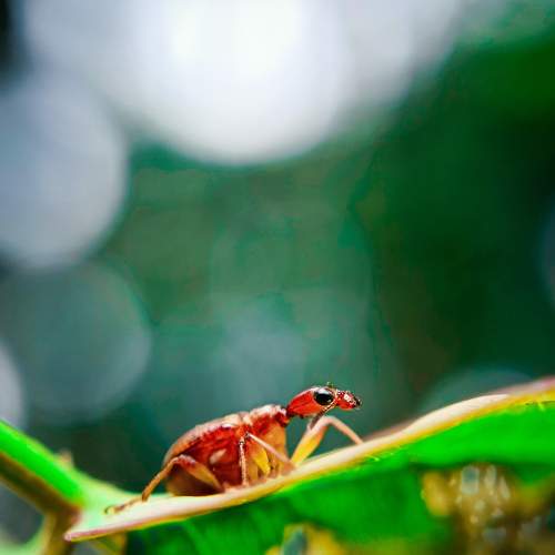 Photo #7145942