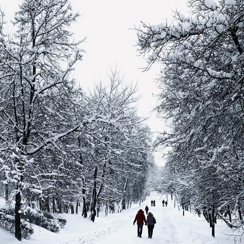 Photo #7146126