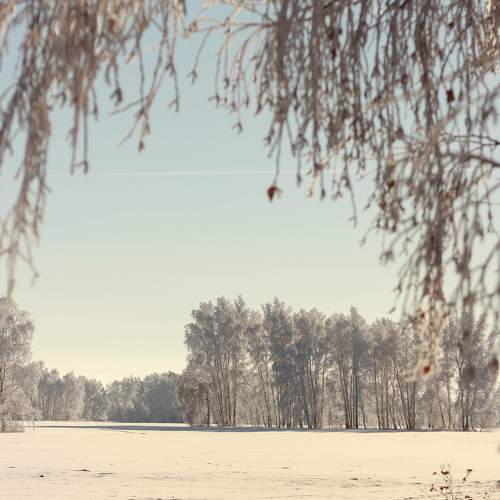 Photo #7146150