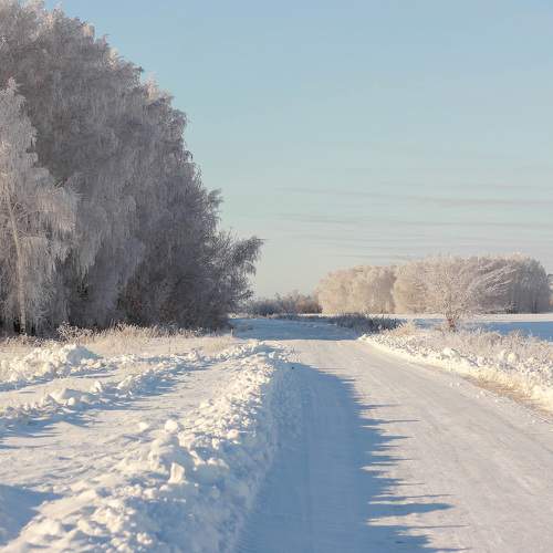 Photo #7146153