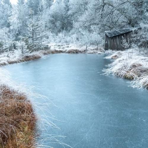 Photo #7146204