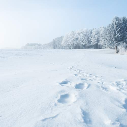 Photo #7146206