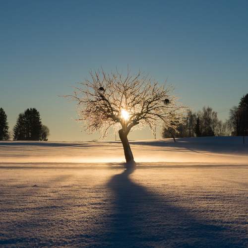 Photo #7146216