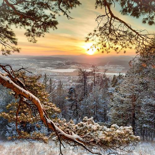 Photo #7146342