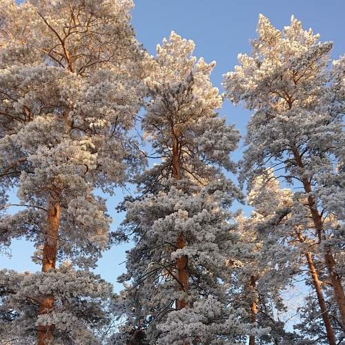 Photo #7146347