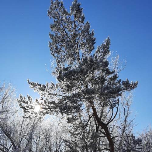 Photo #7146362