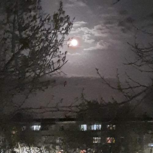 Photo #7146370