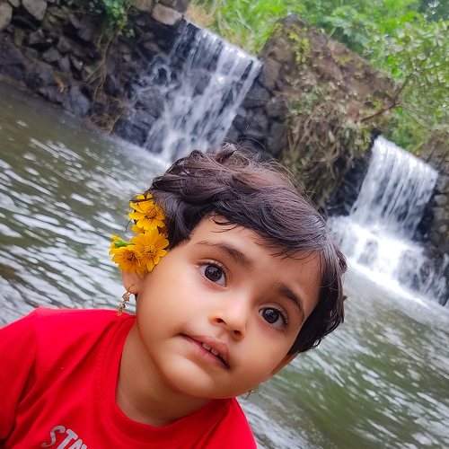 Photo #7146454