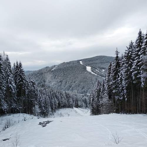 Photo #7146527