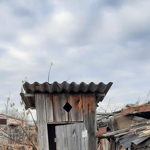 Photo #7146611
