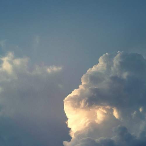 Photo #7146682