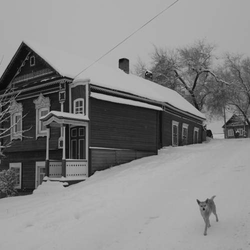 Photo #7146817