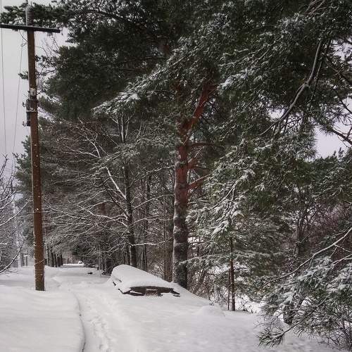 Photo #7146981