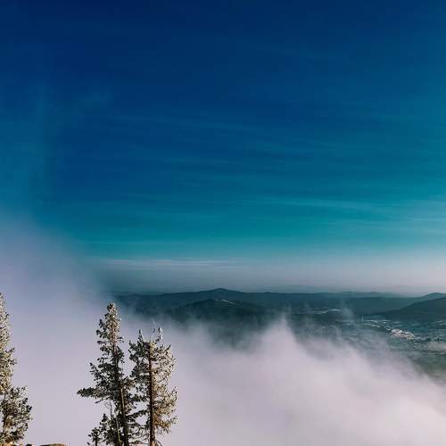 Photo #7147208