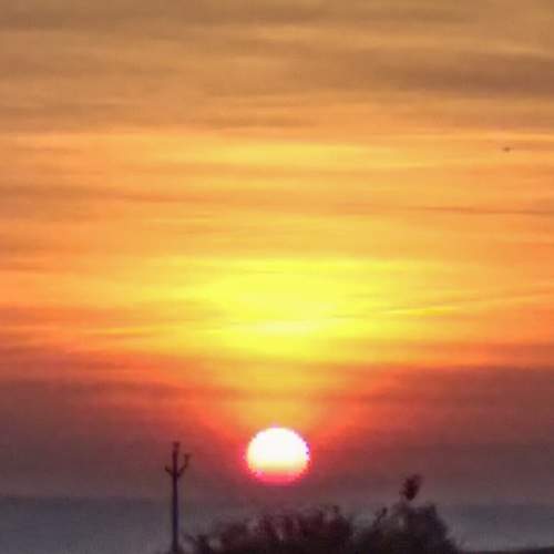 Photo #7147276
